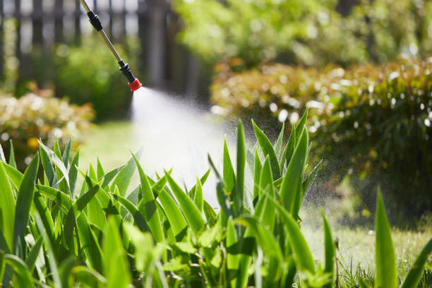 24/7 Emergency Mosquito Control experts in Taft, CA