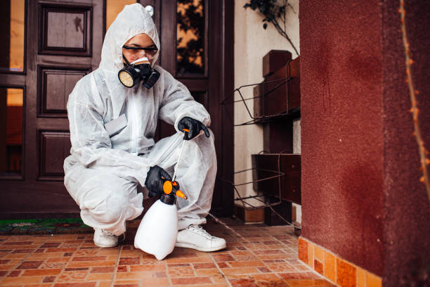 Reliable Mosquito Control contractor in Taft, CA by Show Me Pest Control